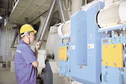 天門飼料企業(yè) 辟蹊徑，克時艱，穩(wěn)中求進促增長